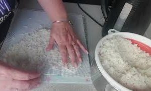 Dehydrating Cooked Rice